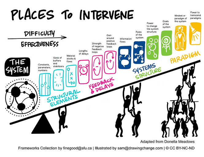 Acting Inside the System: How Leaders Shift Patterns