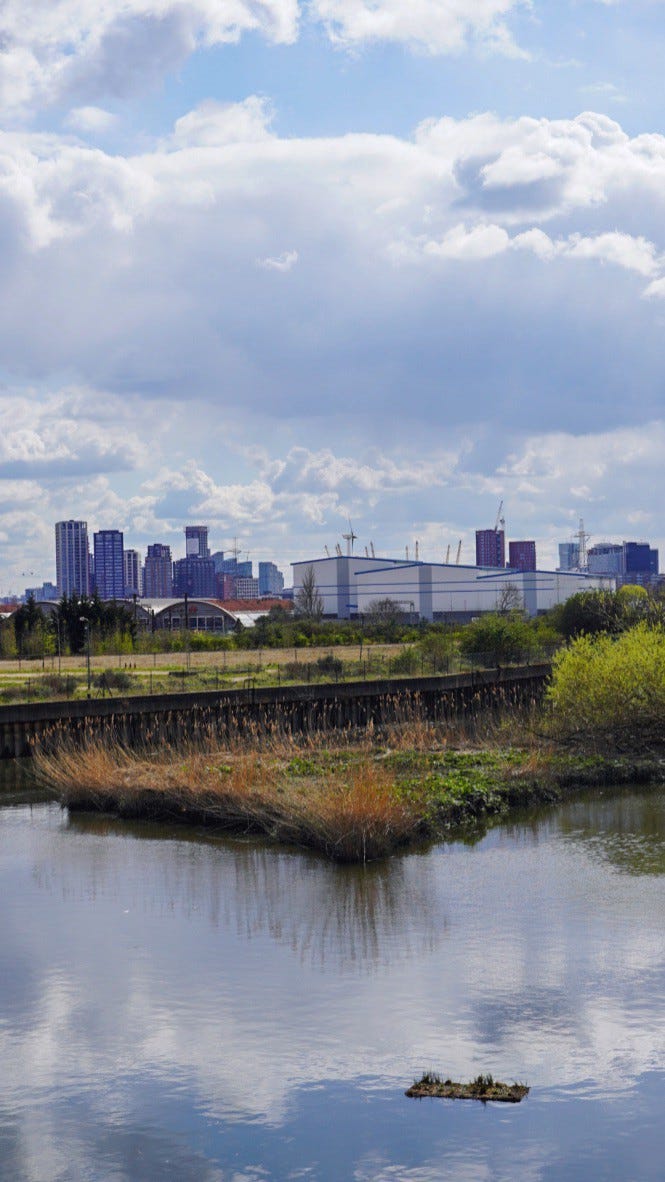 Urban Lab Walk The GreenWay — Green & Blue Infrastructure by UCL