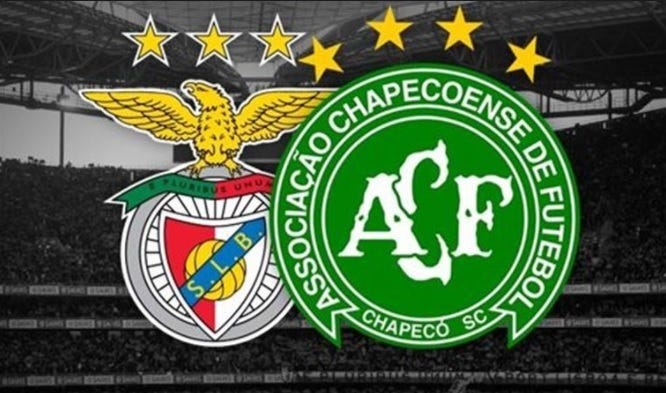 Águias do Sul - Associação Catarinense