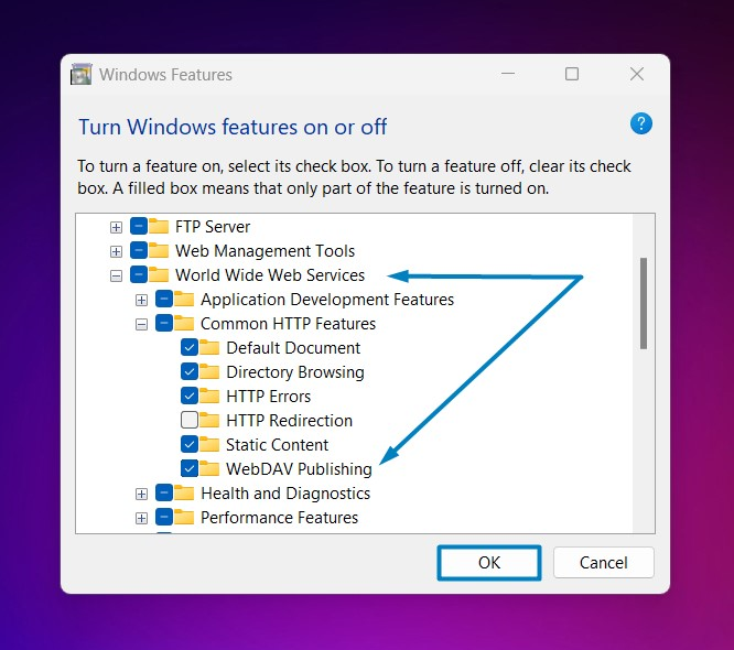https://winsides.com/how-to-enable-webdav-publishing-iis-windows-11/