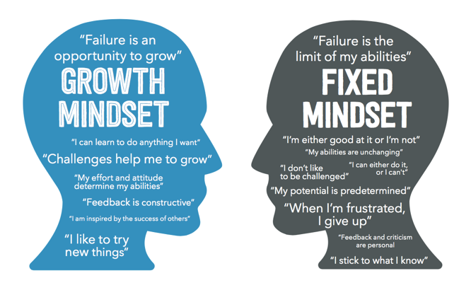Fixed v. Growth Mindset. I just finished “Mindset” by Carol…, by Ameet  Ranadive, Leadership