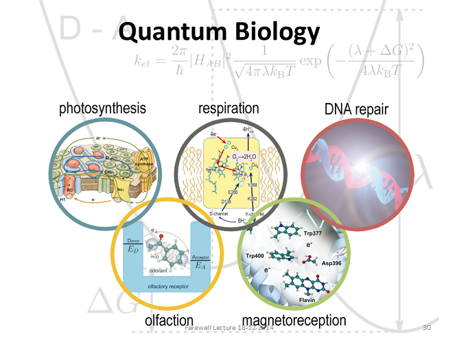 Exploring the Quantum Tapestry of Life Unveiling the Wonders of