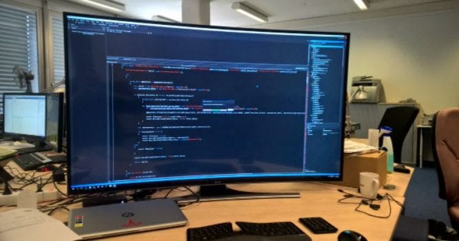 Best monitor 2024 for programming
