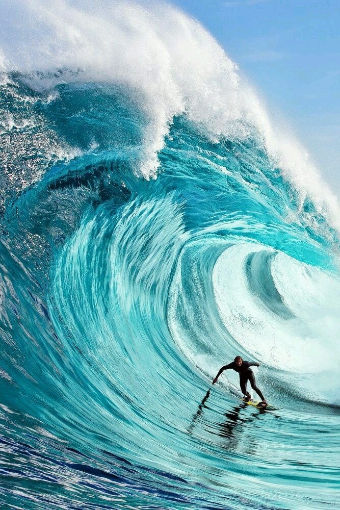 Surfing ride sale