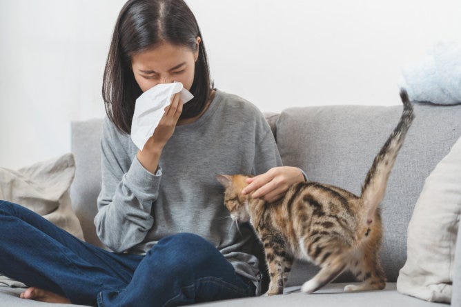 Seasonal Asthma: Coping With Allergies