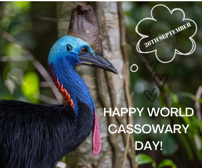 Cassowaries Have Their Day!. September 26 is World Cassowary Day… by