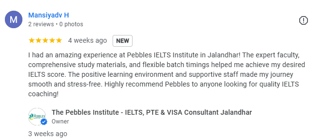 Google Review About Pebbles