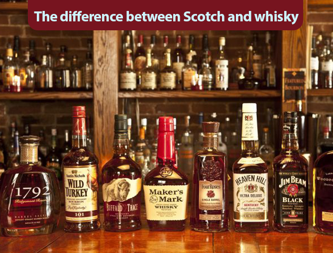 The Whisky Corporation Singapore — The Difference between Scotch and