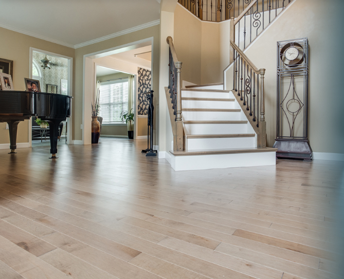 CARPET AND FLOORING DESIGN - EA Home Design - Medium