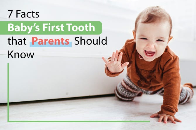 first tooth7 Facts of Baby’s First Tooth that Parents Should Know | by ...