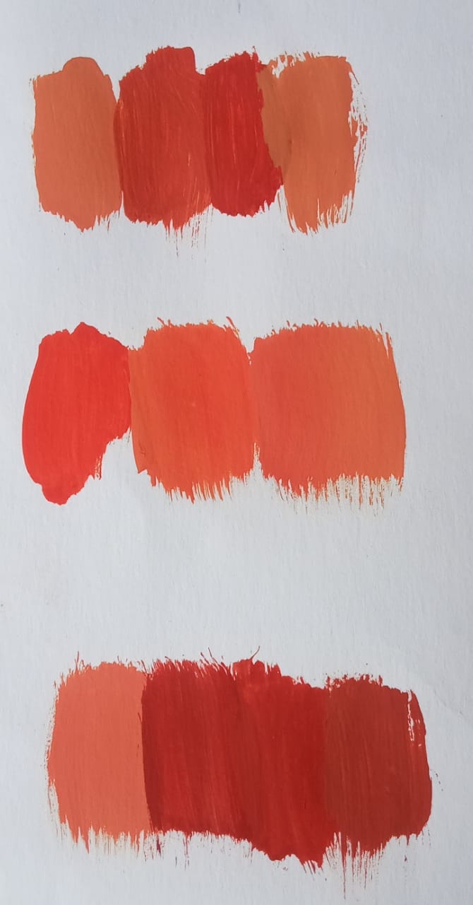 Paleta de color empleada