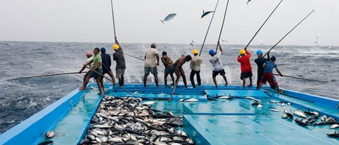 Potensi Dan Tantangan Perikanan Di Laut Natuna