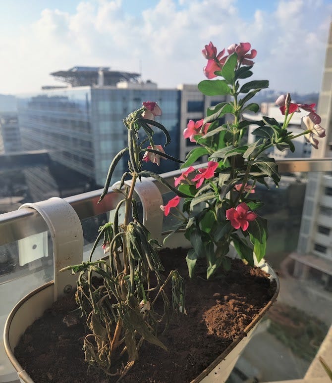 Collaboration or Competition?. What does nature teach us? by Neetisha