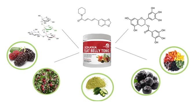A Picture of The Okinawa Flat Belly Tonic ingredients