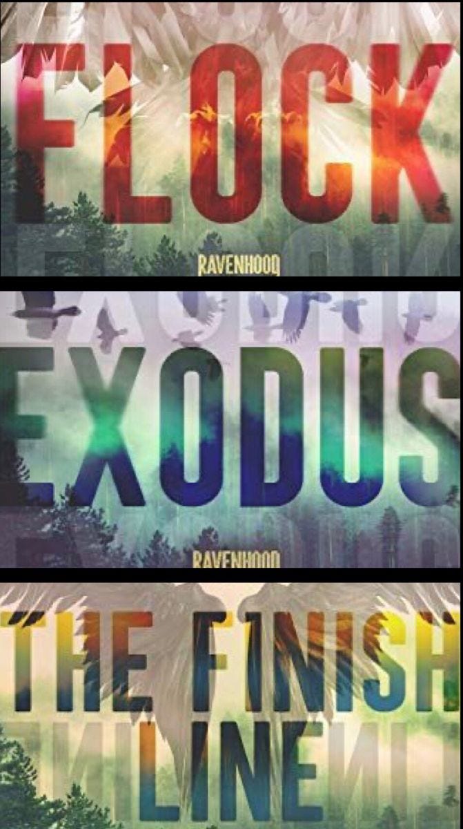 Lets Talk about…Pt 2!. On to the second book…Exodus. | by AnxiousGirl ...