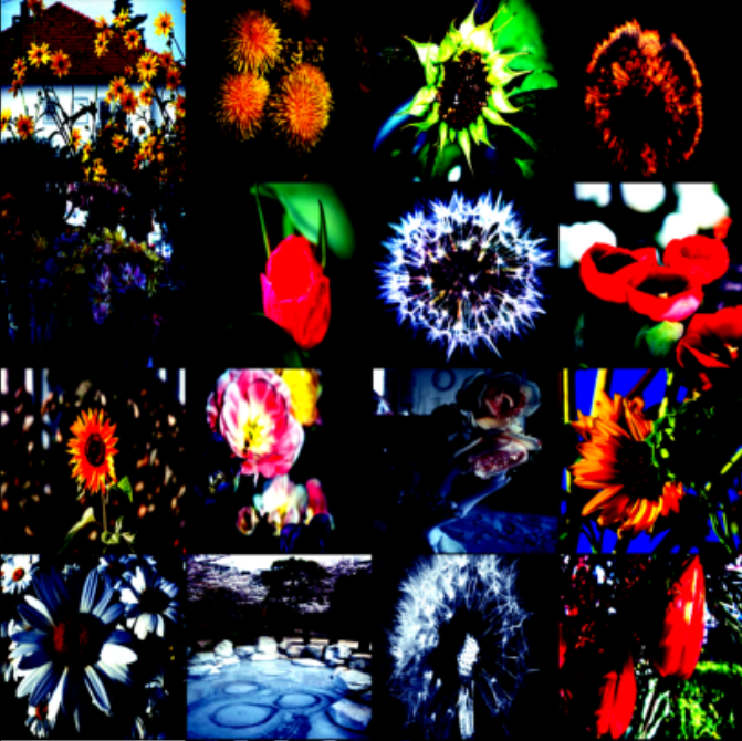 Classifying Flowers with a Convolutional Neural Network(CNN) | by Gbemi ...