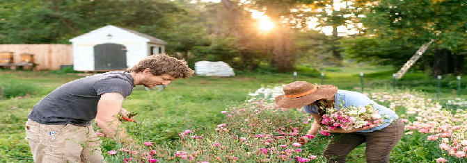 Why Flowers Matter More Than You Think: Beauty, Meaning, and Moments That Last