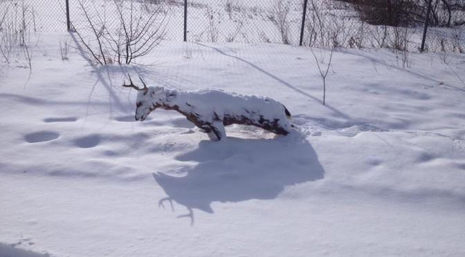 Frozen deer deals