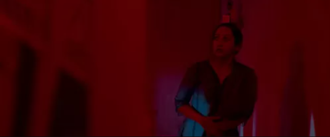 Not All Movies Are the Same: Dual (2025)