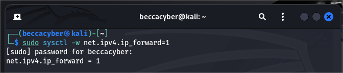 ip forwarding enabled