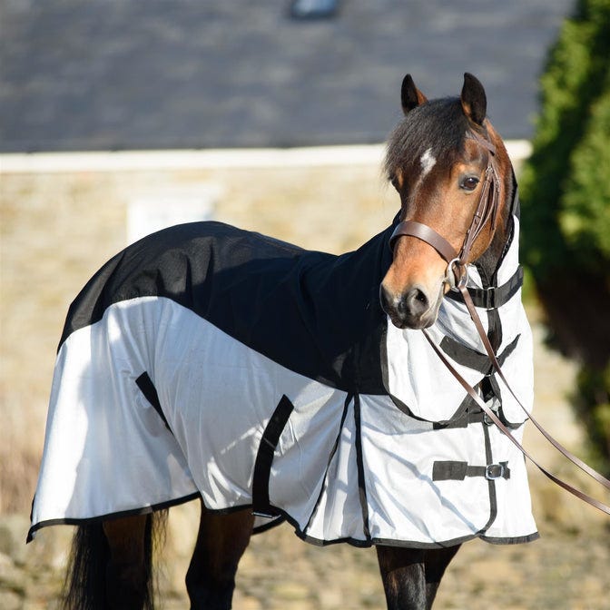 How to Choose the Best Lightweight Turnout Rug for Your Horse by