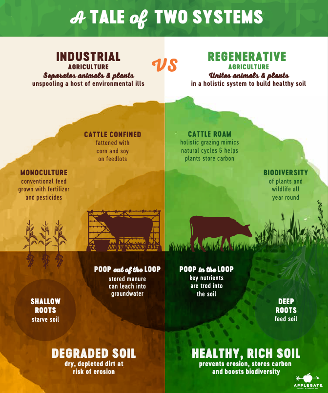 Stop Treating Soil Like Dirt: Healthy Soil Matters | Medium