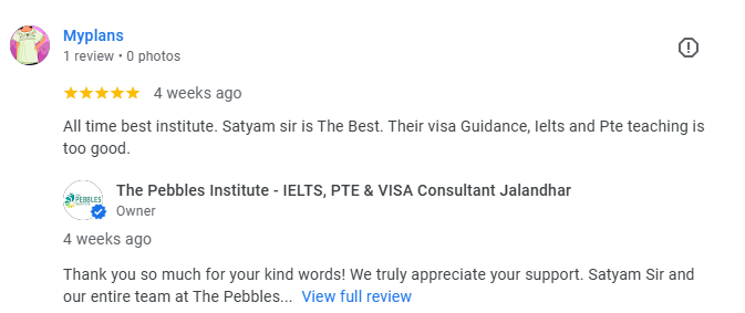 Google Review About Pebbles