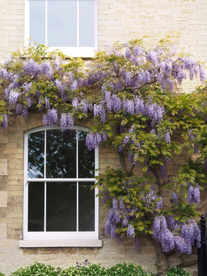 Charisma Rose Sliding Sash Windows | Stylish & Energy Efficient uPVC Sash Windows