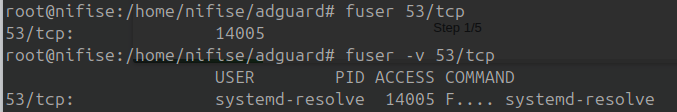 Docker Setup Debugging: failed to bind host port 0.0.0.0:53/tcp: address already in use