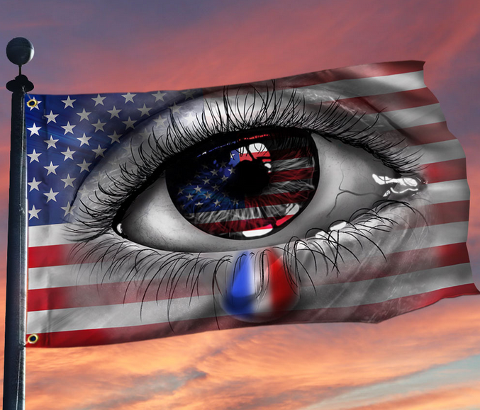 2022 RNC and DNC Party Platforms Leave This Independent Unimpressed