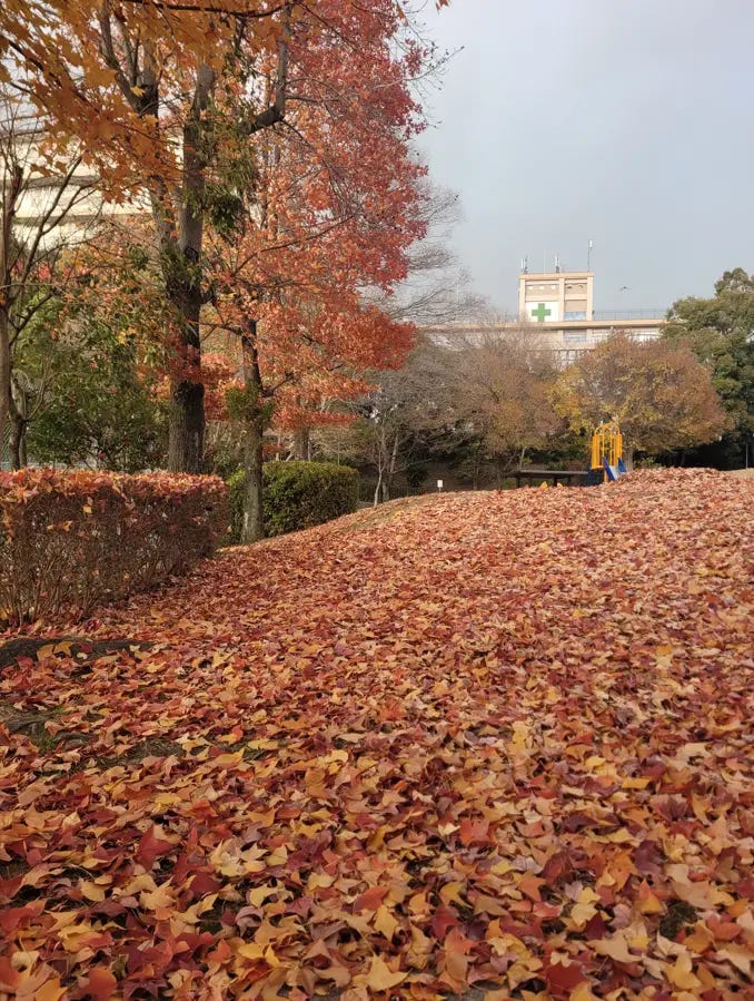 Exploring Obaku Park — Uji’s largest community and sports center