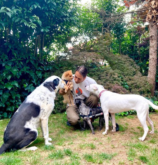 köpek eğitmeni