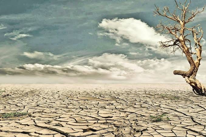 The Vanishing Fertile Crescent: Bangladesh’s Battle Against the Creeping Desert.