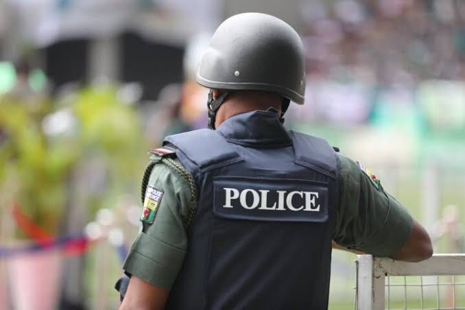State Police and the Politics of Reform: Do Nigerians Really Want Change, or Just a Change of Faces?