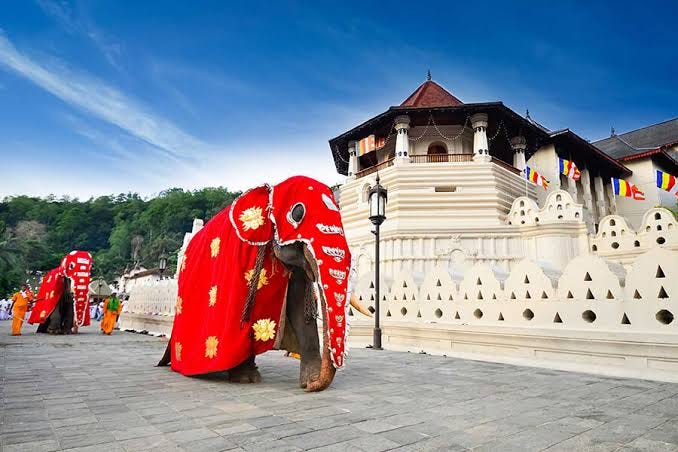 Caption: Temple of the Sacred Tooth Relic (Sri Dalada Maligawa) and majestic tuskers honoring the the puja