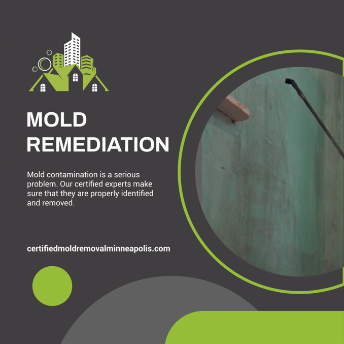 Mold Remediation Certified Mold Removal Restoration Medium