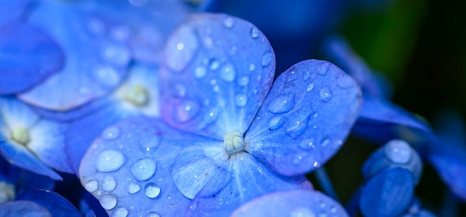 How Zustand Was Born