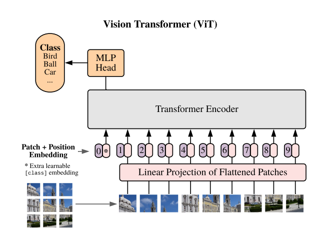 Understanding Vision Transformers: A Game-Changer in Computer Vision