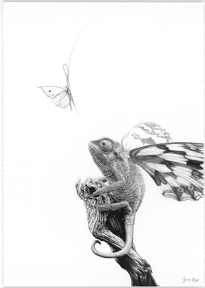 Adapter Pattern in Swift for Beginners