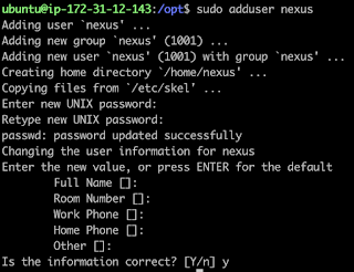 Installing Nexus 3