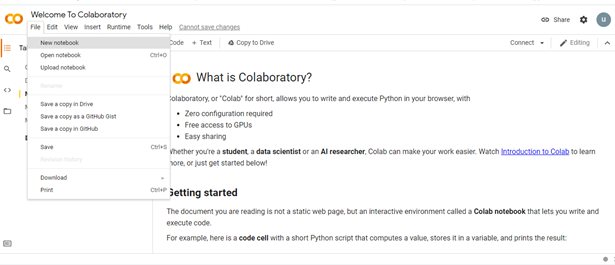Image classification with Fastai