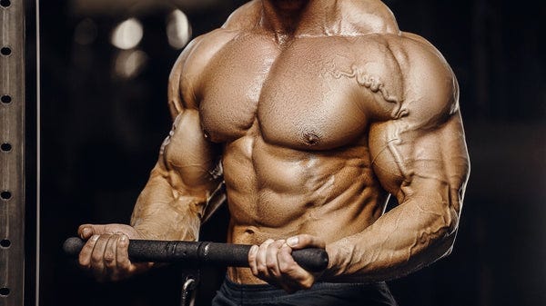 The Bodybuilder Workout Routine for a Muscular Physique - Muscle
