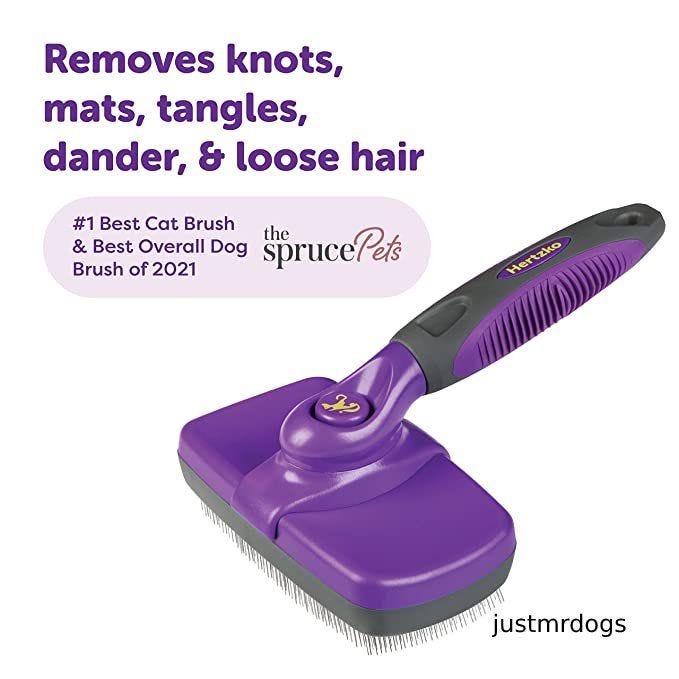 9 Best Brush for a Maltese Dog Ultimate guideline 2022 by Maria