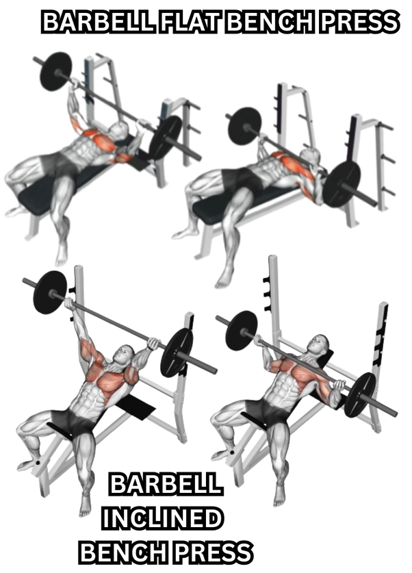 Incline Bench Press