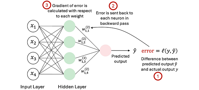 Backpropagation: The Backbone of Neural Network Training