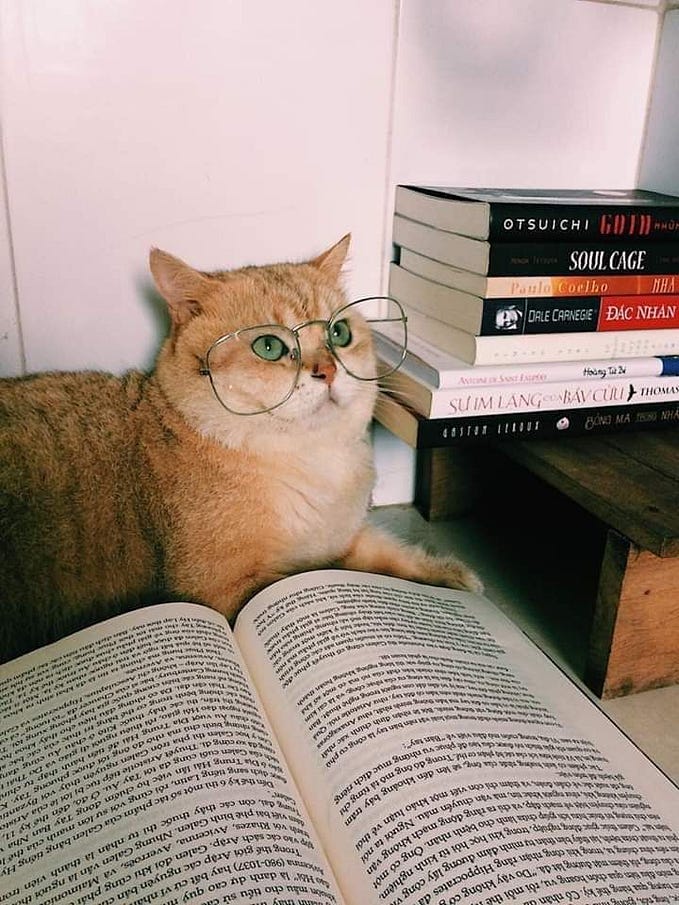 Streams in Node.js: How to Use Them