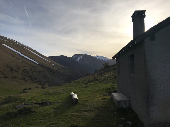 In France, Walking in Public Space