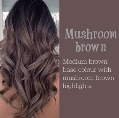 Mushroom Brown Hair — A Popular Hair Color That You Must Try In Summer | by  Hiart Hair | Medium
