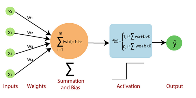 Perceptron vs neuron, Single layer Perceptron and Multi Layer Perceptron