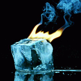 Concentrated Gif - IceGif